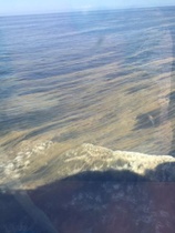 Sinilevälauttoja merellä matkalla Nynäshamnista Gotlantiin.